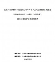 山東祥東新材料科技有限公司年產(chǎn)8.7萬噸抗氧化劑、烷基酚及粗酚精制項目(一期)(一期裝置)竣工環(huán)境保護驗收監(jiān)測報告
