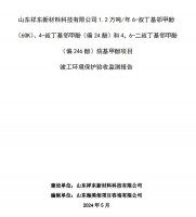 山東祥東新材料科技有限公司1.2萬噸/年6-叔丁基鄰甲(60K)、4-叔丁基鄰甲酚(偏 24 酚)和 4，6-二叔丁基鄰甲酚(偏 246 酚)烷基甲酚項目竣工環(huán)境保護驗收監(jiān)測報告